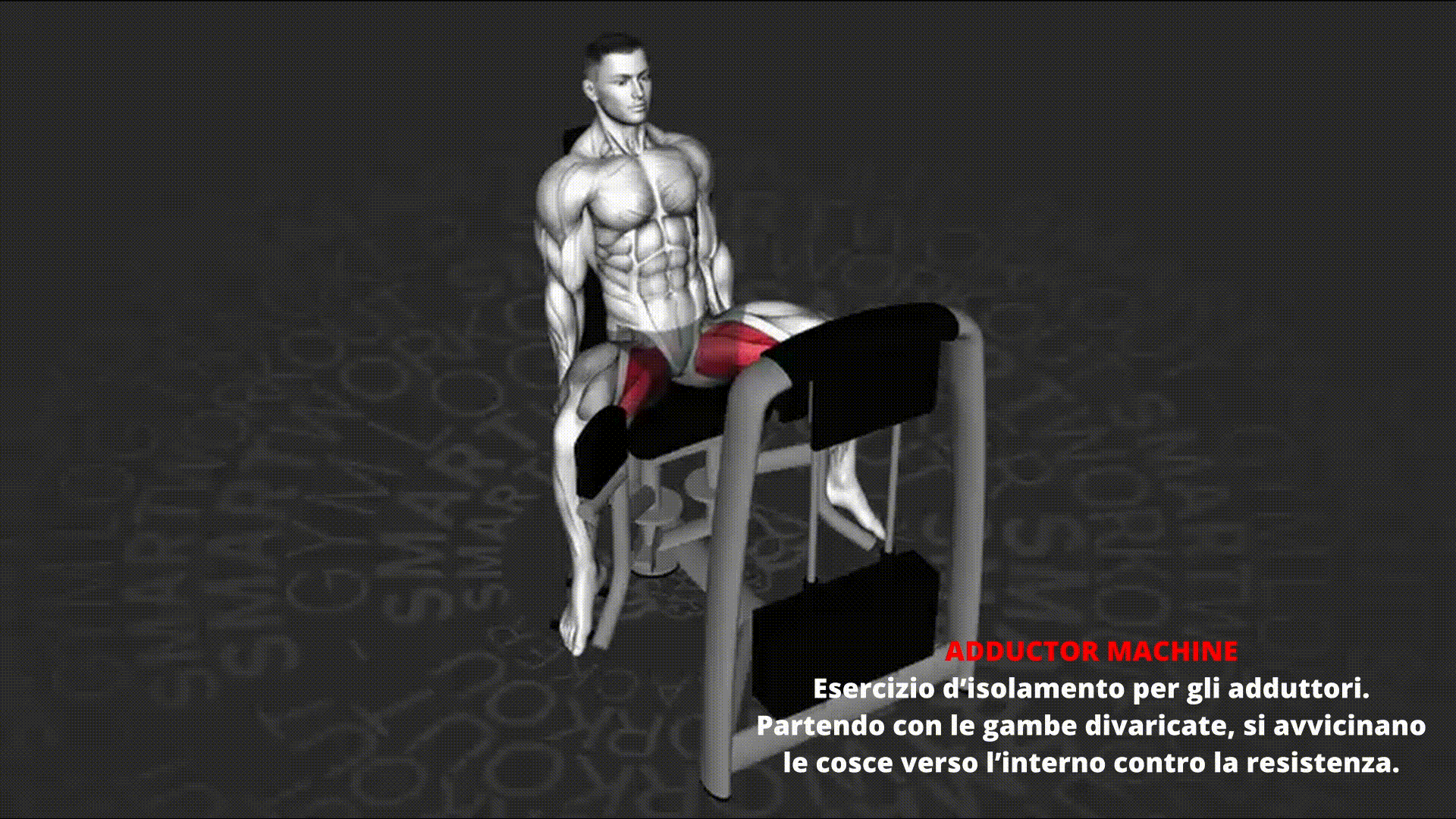 Dimostrazione animata di ADDUCTOR MACHINE