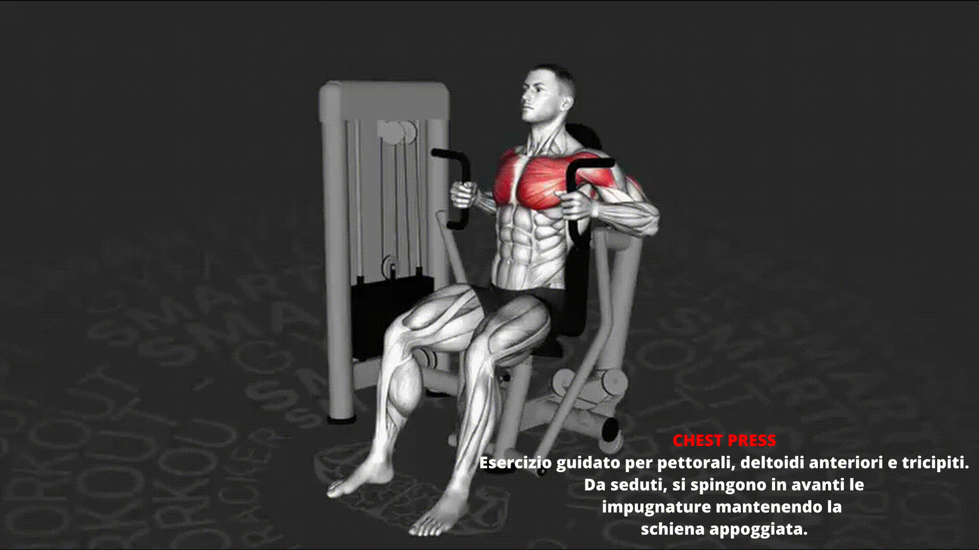 Dimostrazione animata di CHEST PRESS