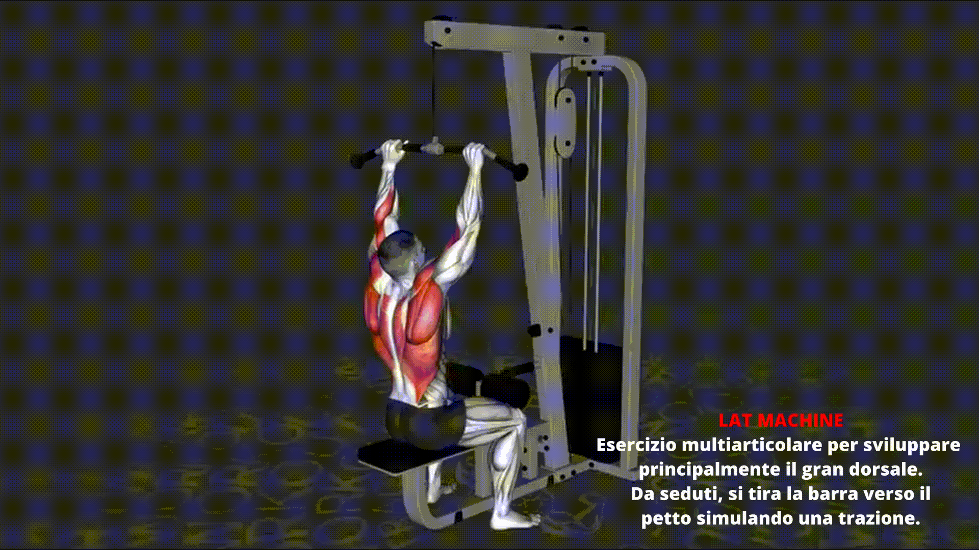 Dimostrazione animata di LAT MACHINE