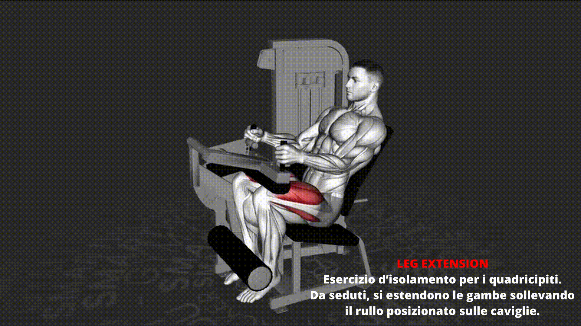 Dimostrazione animata di LEG EXTENSION