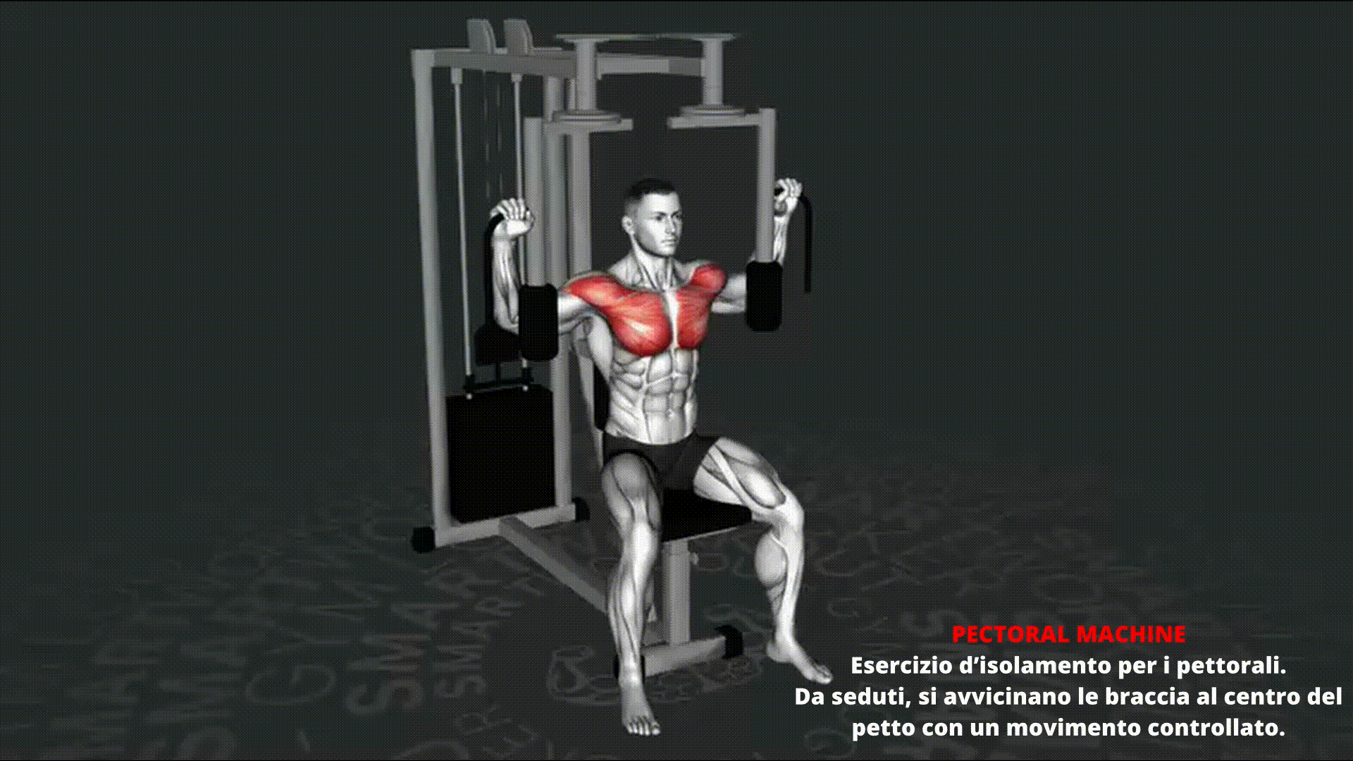 Dimostrazione animata di PECTORAL MACHINE