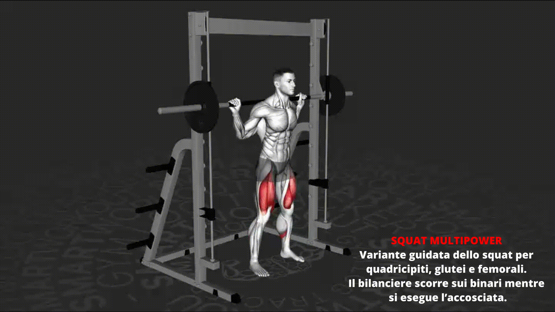 Dimostrazione animata di SQUAT MULTIPOWER
